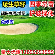 Lawn slope protection, grass seeds, dwarf greening, dog tooth root, rye grass, Bermuda tall fes