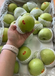 Sale!! Apel Hijau Granny Smith RRC 1 Dus (17 KG) Fresh Import