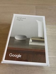 Google Nest Mini