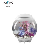 BW-6 biOrbBioubao30Lround Fish Tank  Acrylic Ecological Aquarium Tropical Fish Easy Maintenance Landscaping Set MG5S