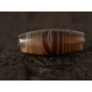 [Taiwan Dzi Beads] Taiwan to Pure Craft Natural Conformal Cornucopia Eye Dzi Beads Size: 38.8 x14.5
