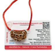 Lab Certified Original 1 Mukhi (1 Face) Rudraksha for Men / Women (Unisex) (Certificate Included)
