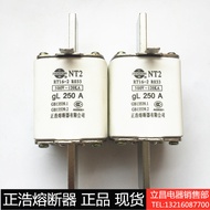 Zhenghao Fuse RT16-2 NT2 200A 250A 300A 315A 400A Ceramic Fuse 500V