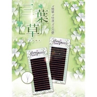 伊芙妮 三叶草 睫毛 Ifune Clover Lash