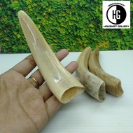 pipa rokok once taring iga duyung D698