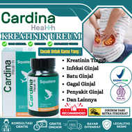 Obat Ginjal Kreatinin Tinggi Penurun Kreatinin Ureum Infeksi Ginjal Gagal Ginjal Ureum Meningkat Gan