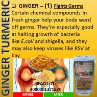 ♞1 Pack of Una Vida Ginger Turmeric Powdered Tea with Calamansi and Lemongrass 350 grams
