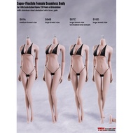 TBLeague S01A S04B S07C S10D 1/6 Female Body