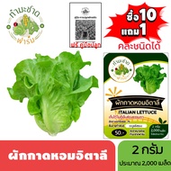 ทำมะชาดฟาร์ม (ซื้อ10แถม1) เมล็ดพันธุ์ ผักกาดหอมอิตาลี ขนาด2กรัม ประมาณ2000เมล็ด ITALIAN LETTUCE ผักส