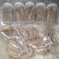 Ibu Gamat asli langkawi kering 15g 25g 35g