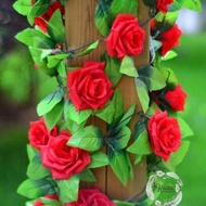 Bunga mawar rambat / daun rambat bunga mawar/ bunga mawar artificial