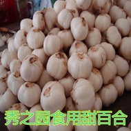 Sweet Ball Flower Seed Edible Seed Ball Lily Edible Flower Belt Ornamental Flower Seed Family Ball L
