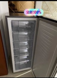 ✨立式急凍櫃✨冷凍櫃冰櫃Freezer✨