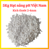5Kg Hạt Nâng pH - Ổn Định Độ pH Trong Nước Hàng Việt Nam