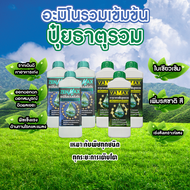 อะมิโนรวมเข้มข้น Zenmax + ปุ๋ยธาตุอาหารรวม Vamax เหมาะกับพืชทุกชนิด ทุกระยะการเติบโต 6 ลิตร