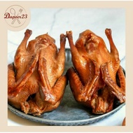 Jual Burung Dara Frozen Murah