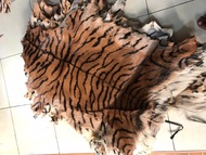 kulit kambing motif harimau Tiger