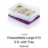 Tupperware Freezermate Large 3.1L divider compartment Frozen Fish Meat Chicken Frozen food container