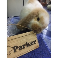 Pet Name Tags Rabbit Tag Laser Dog Cat