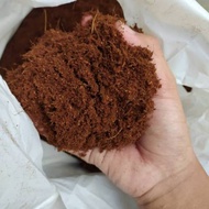 Cocopeat / cocopeat / planting medium 1 KG