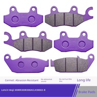 Hose brake brake pad Longxin Promise 300RR 300R 300AC LX300GS-B Motorcycle Front Brake pad Rear Disc