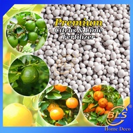 Premium Citrus and Lime Fertilizer Baja Limau Kasturi Citrus Fruiting Fertilizer NPK 13-11-21 优质柑橘肥