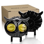 MATA Laser owl spotlight d2 gun 2 eyes hilo owl