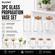 SUUNO Water Planting Succulent Pot Cactus Pot Transparent Pot Pasu Kaca Home style living INS Style 