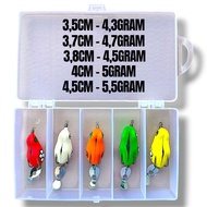5PCS SOFT FROG TIN COR + BOX. SOFT FROG FILLED. SOFT FROG JAWS FLAVOR. SOFT FROG SOUND JAWS Soft Fro