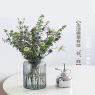 Dried Flower Vase Glass Transparent European Creative Small Fresh Hydroponic Green Dill Personalized