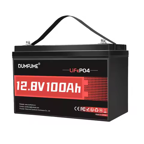 Dumfume 12V 100Ah Lifepo4 Lithium Battery 100A BMS 12V 600Ah/12V 314Ah/24V 100Ah/36V 100Ah Battery S