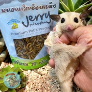 ( JERRY - WAX WORM หนอนแว็กซ์ ) หนอนแว๊กซ์ หนอนแว็กซ์อบแห้ง หนอนอบแห้ง หนอน หนอนนก หนอนนกอบแห้ง อาหาร ชูการ์ กระรอก นก แฮมสเตอร์