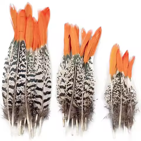 Natural Rare Lady Amherst Pheasant Feathers for Crafts 15-30cm 6-12" Feather Jewelry Handicrafts Cre