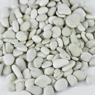 Medium size white coral stone 1 kg, aquarium stone, garden decorative stone, white coral stone