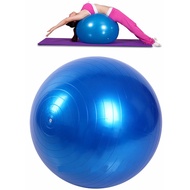 Yoga Pilates Fitness Gym Ball 55cm
