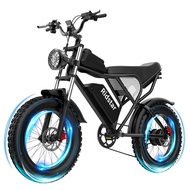 Electric Bike for Adults, 1000/2000W, 25/30/37MPH,48V-52V, 20AH,40AH Battery, Max 50-180 Miles Elect