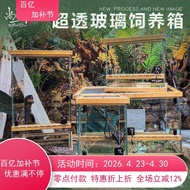 Solid Wood Climbing Pet Tank Lizard Turtle Gecko Reptile Glass Tank Rainforest Tank Snake Horned Fro