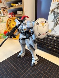 BANDAI mg 1:100 多魯基斯 （改tv配色）成品模型