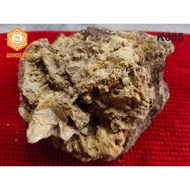 WINDERS Batu Kemenyan Madu Asli Hutan 蜜蜂晶体甘文烟 K001 / K005 / K017 / 140