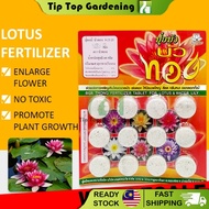 WHOLESALE 100 PACK THAILAND FERTILIZER FOR LOTUS & WATER LILY ( 12 TABLETS ) BAJA TUMBUHAN AIR N-P-K