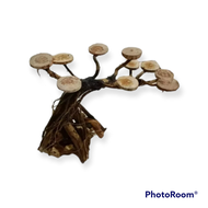 bonsai mini aquascape akar rasamala thema waru doyong ukuran 15X20