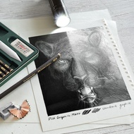 Faber-Castell Pitt Graphite Matt Pencil Graphic Pencil Sketch Drawing Pencil 10B / 12B / 14B Faber C