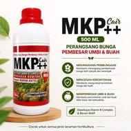 MKP cair ++ 500 ML perangsang bunga pembesar umbi & buah MKP ++ cair
