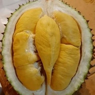 Spesial Durian Musang King Malaysia Utuh