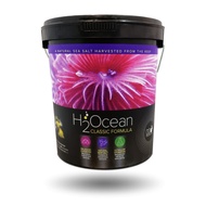 H2Ocean Classic  Formula  Pro+Salt 6.6kg