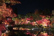京都塔飯店Kyoto Tower Hotel