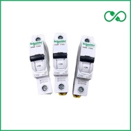 Mcb Ic60N 1P 50A Schneider Price per 1 Piece