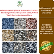 500g Pebble Gardening Decor Stone / Batu Kacang / Batu Sungai Hiasan / Aquarium Deco /Pebble Wash Ga