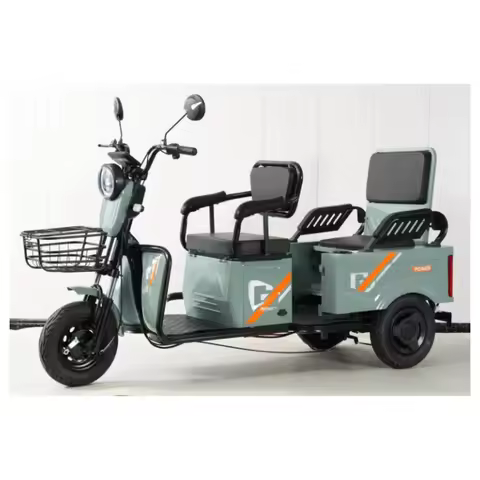 Tricycle Motorcycle 600W 35 km/h Range 50km Electric Tricycle for Adults 48V Electric Trimoto Electr