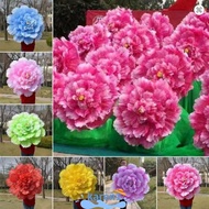 KAREN Peony Dance Performance Props, 30/40/50cm DIY Handmade Dance Props Flower,  Hand held Dance Pe